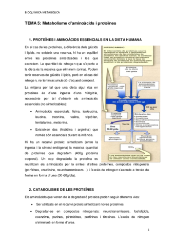 TEMA-5.pdf