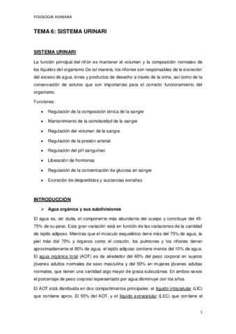 TEMA-6.pdf