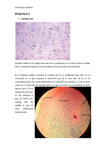 PRACTICA-2.pdf