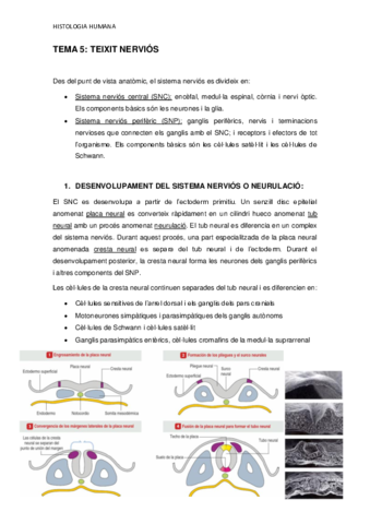 TEMA-5.pdf