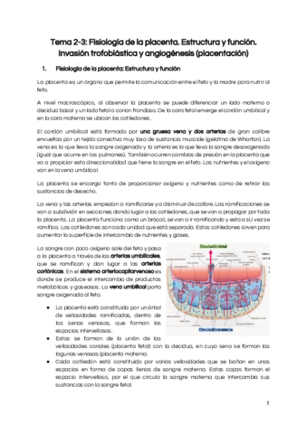 Tema-2-3-Fisiologia-de-la-placenta.pdf
