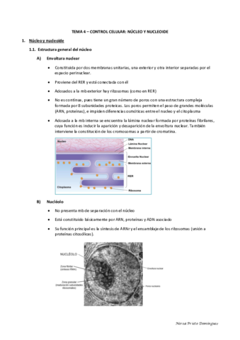 TEMA-4-Control-celular-nucleo-y-nucleoide.pdf