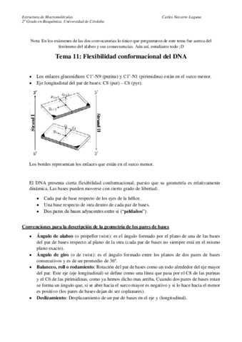 Tema-11-Estructura-dinamica-y-flexibilidad-conformacional-de-los-acidos-nucleicos.pdf