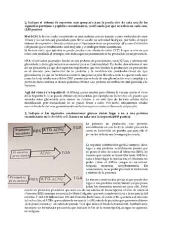 Preguntas-cortas-biotecnologia-examenes.pdf
