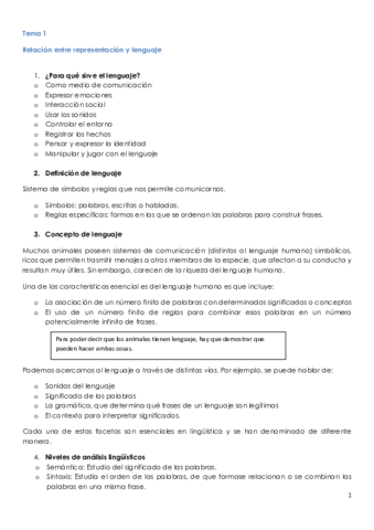 Resumen Lenguaje y representación.pdf
