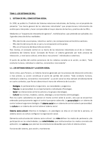 TEMARIO-COMPLETO-RESUMEN.pdf