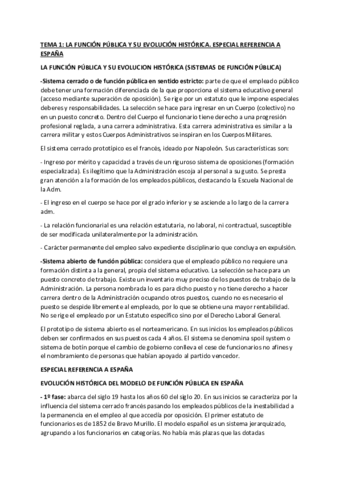 TEMARIO-COMPLETO-RESUMEN.pdf