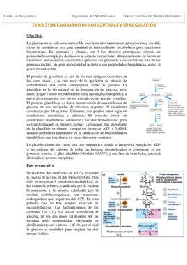 Tema 3. Metabolismo de carbohidratos VSM.pdf