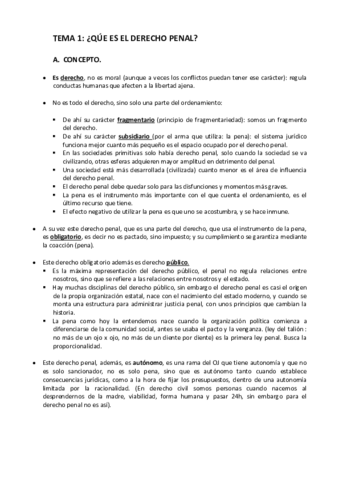 Apuntes-Penal-I-Jacinto.pdf