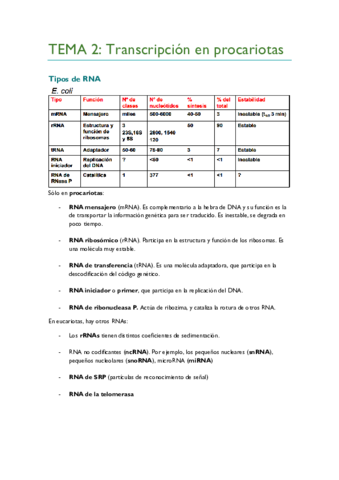 TEMA-2.pdf