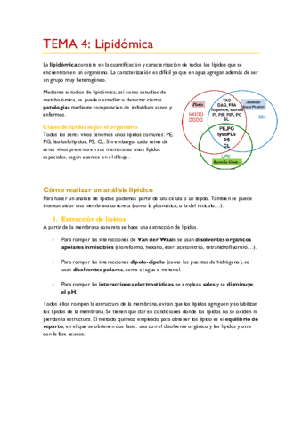 TEMA-4.pdf