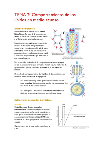 TEMA-2.pdf