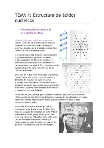 TEMA-1.pdf