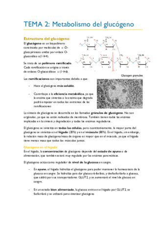 TEMA-2.pdf