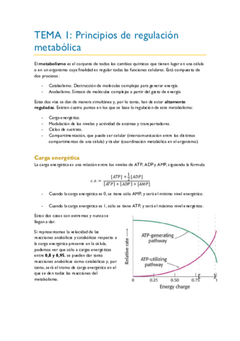 TEMA-1.pdf