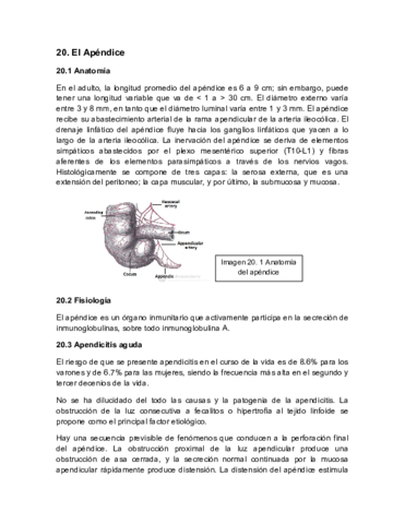 apendice-resumen.pdf