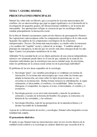 SIimmel.pdf