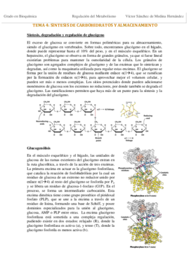 Tema 4. Biosíntesis de carbohidratos VSM.pdf