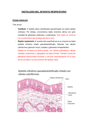 TEMA-3-ANEXO-HISTOLOGIA-DEL-APARATO-RESPIRATORIO.pdf