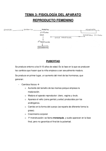 TEMA-3.pdf