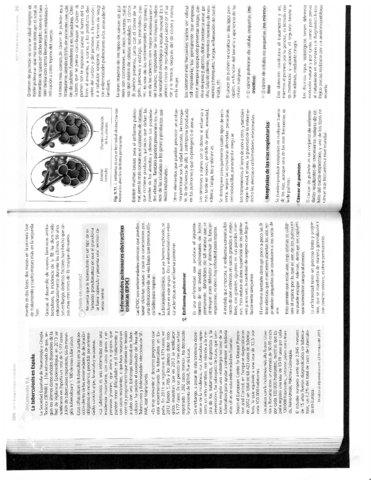 FISIOPATOLOGIA-III.pdf