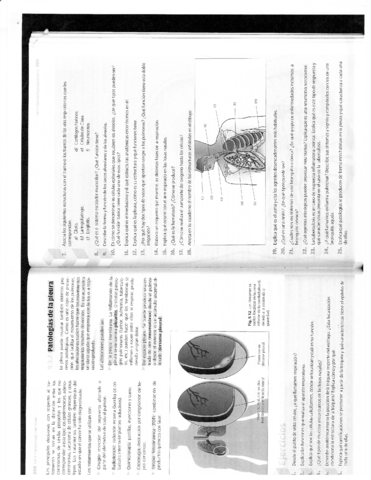 FISIOPATOLOGIA-II.pdf