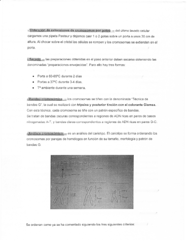 BIOLOGIA-MOLECULAR-Y-CITOGENETICA.pdf