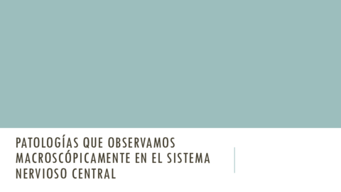 PATOLOGIAS-MACROSCOPICAS-BLOQUE-SNC.pdf