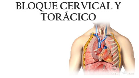 PATOLOGIAS-MACROSCOPICAS-BLOQUE-CERVICAL--TORACICO.pdf