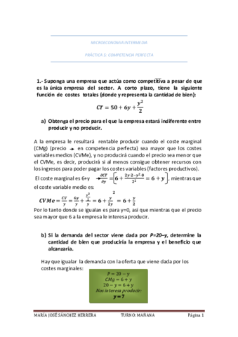 Practica 5.Competencia perfecta.pdf