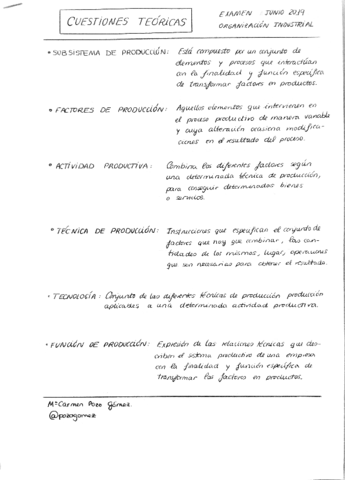 RESUMEN-CUESTIONES-TEORICAS.pdf