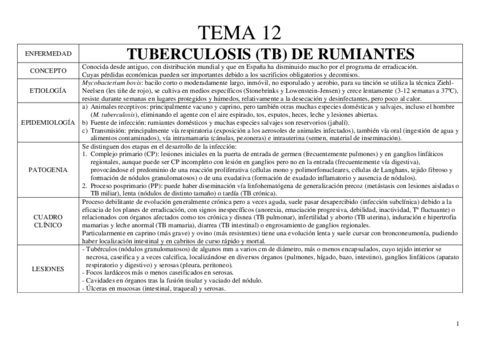 Temas 12-18 Rumiantes INF II.pdf