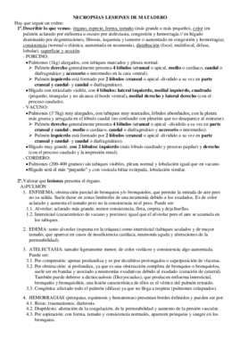 Prácticas de lesiones de matadero.pdf