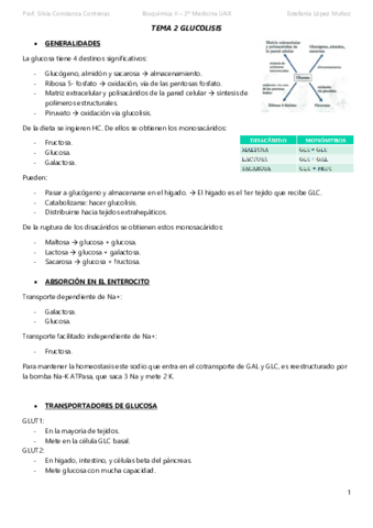 TEMA-2-GLUCOLISIS-subir.pdf