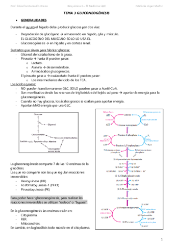 TEMA-3-GLUCONEOGENESIS-subir.pdf
