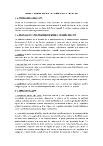 Resumen-penal-Tema-9.pdf