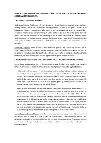 Resumen-penal-Tema-2.pdf
