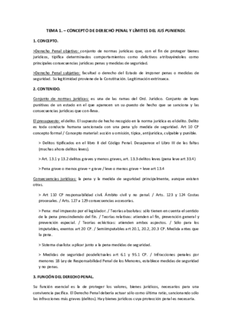 Resumen-penal-Tema-1.pdf