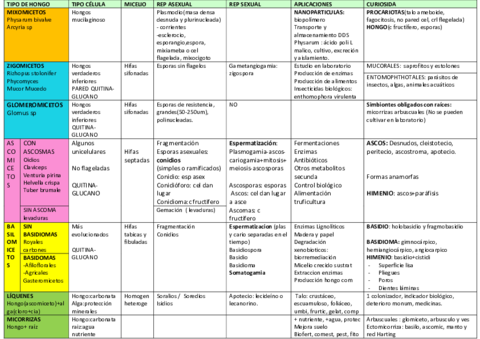 CUADRO-COMPARATIVO-HONGOS.pdf