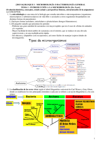 Temario 1-16 Micro 2015.pdf