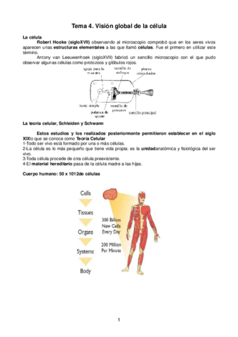 Biología celular.pdf