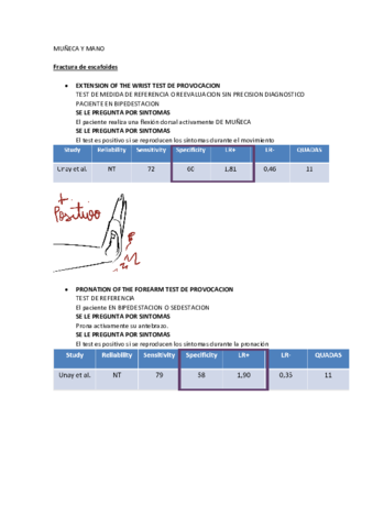 TESTS-MUNECA.pdf