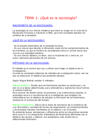 Sociologia apuntes de examen.pdf