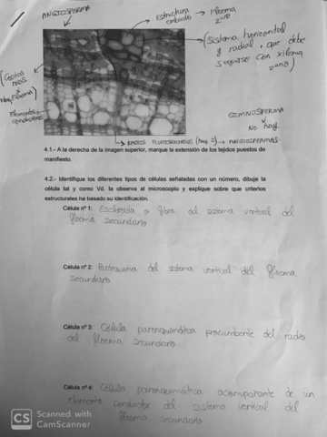 EXAMEN-HISTO-VEGETAL.pdf