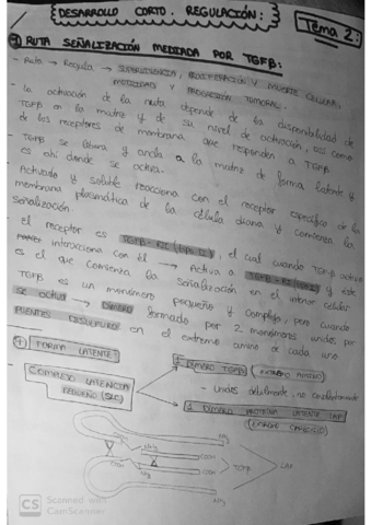 PREGUNTAS-RESUELTAS-EXAMEN-REGULACION.pdf