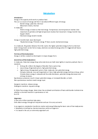 Metabolism.pdf