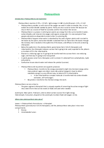Photosynthesis completa.pdf