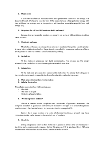 PHOTOSYNTHESISpreguntas.pdf