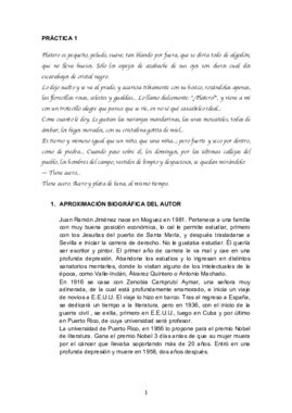 PRÁCTICA 1- PLATERO.pdf