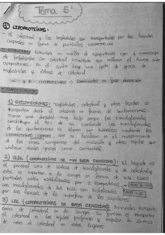 DESARROLLO-PARCIAL-1.pdf